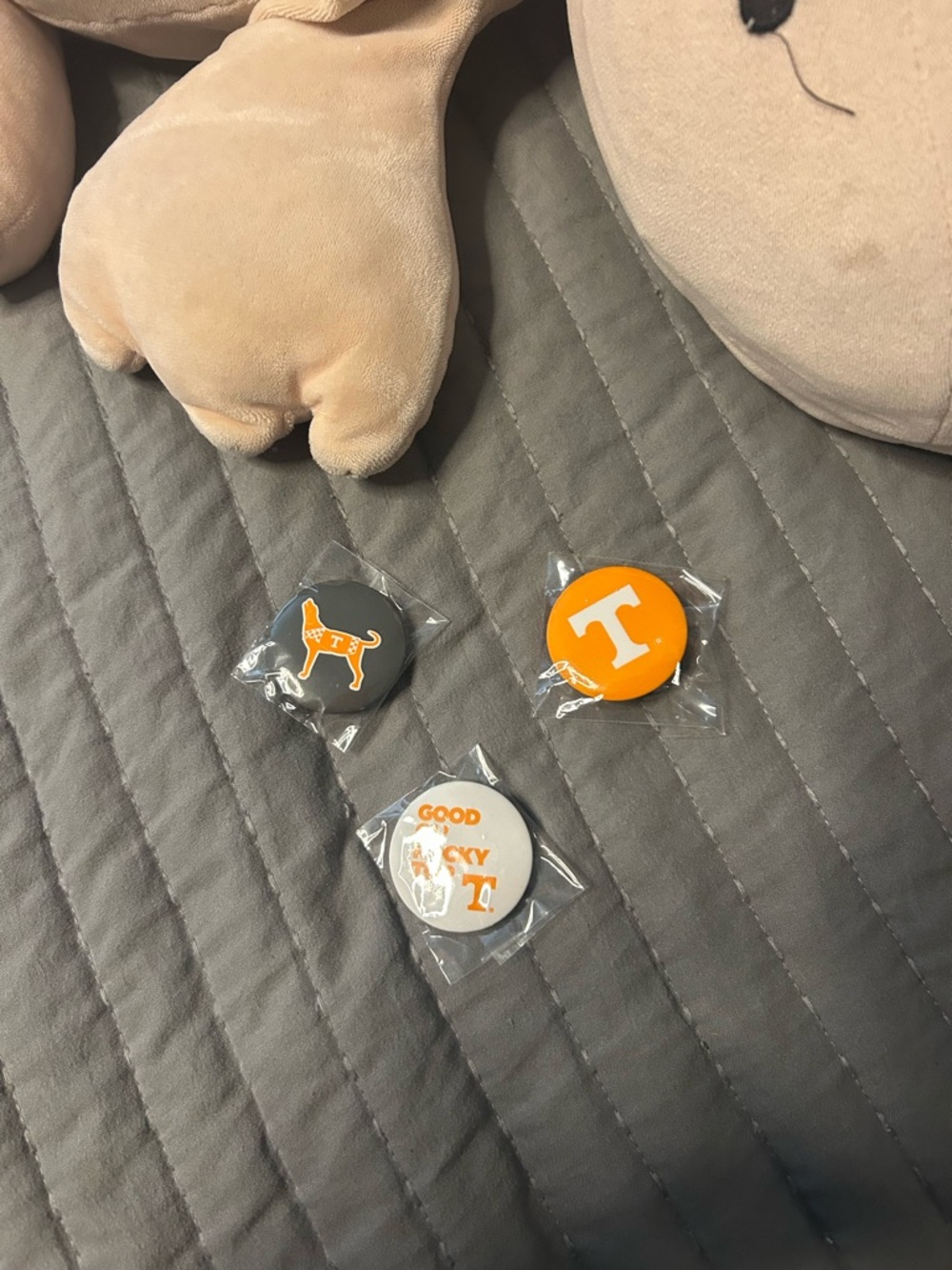 UTK Tennessee Pins